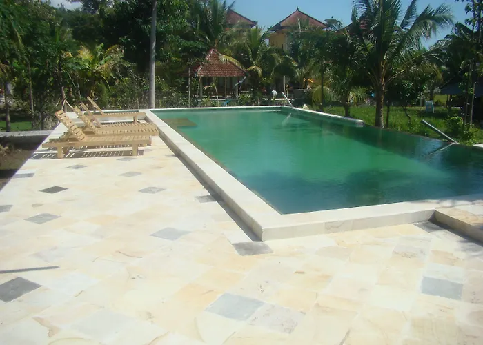 Taman Padi Amed