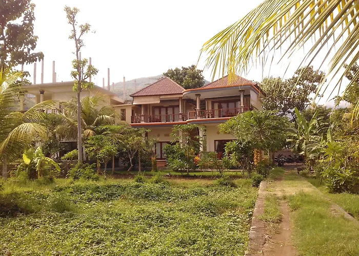 Taman Padi Amed