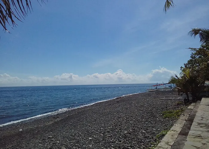 Taman Padi Amed