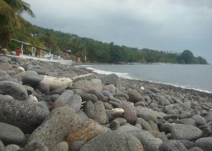 Taman Padi
