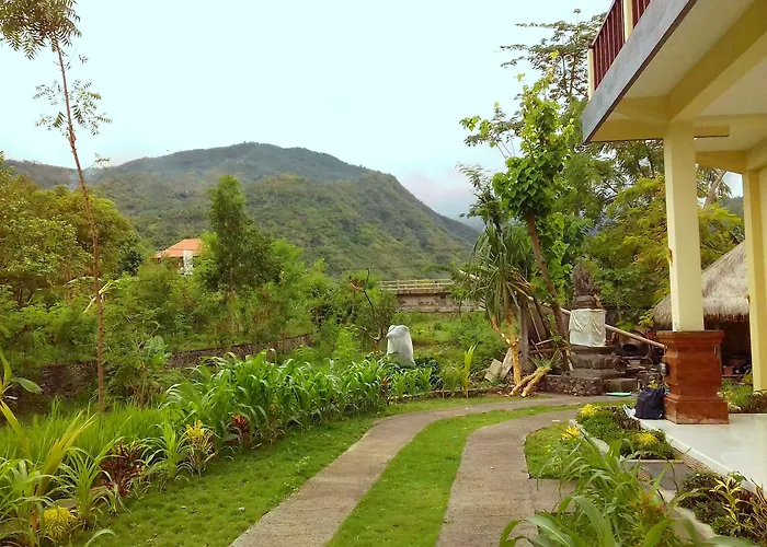 Taman Padi Amed