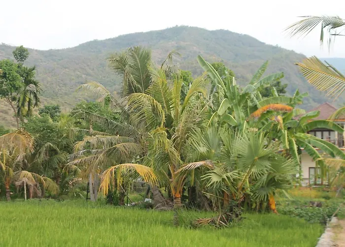 Taman Padi 3* Amed