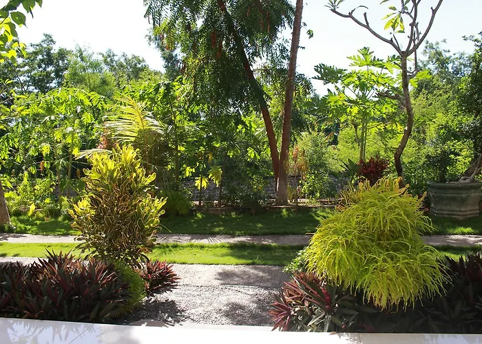 Taman Padi Affittacamere