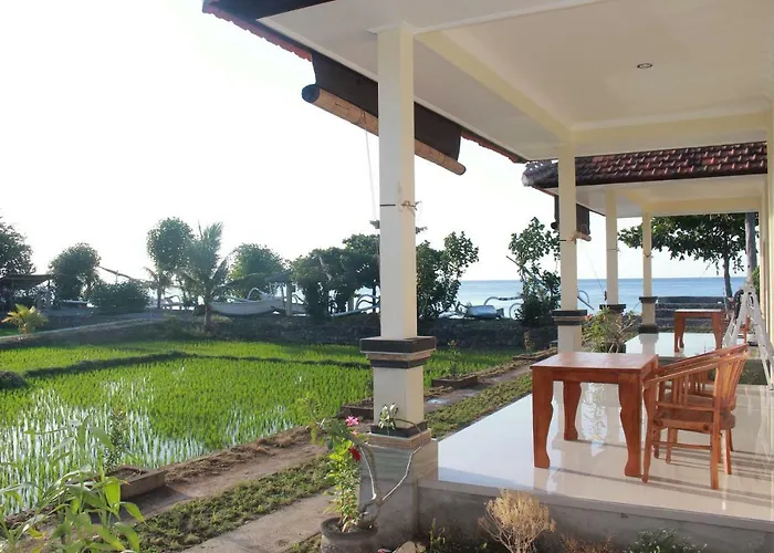 Taman Padi Amed